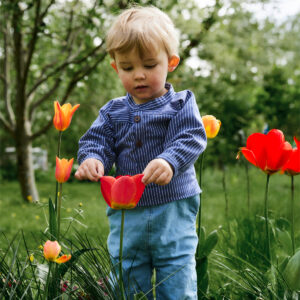 Busserull minsten - Bilde 4