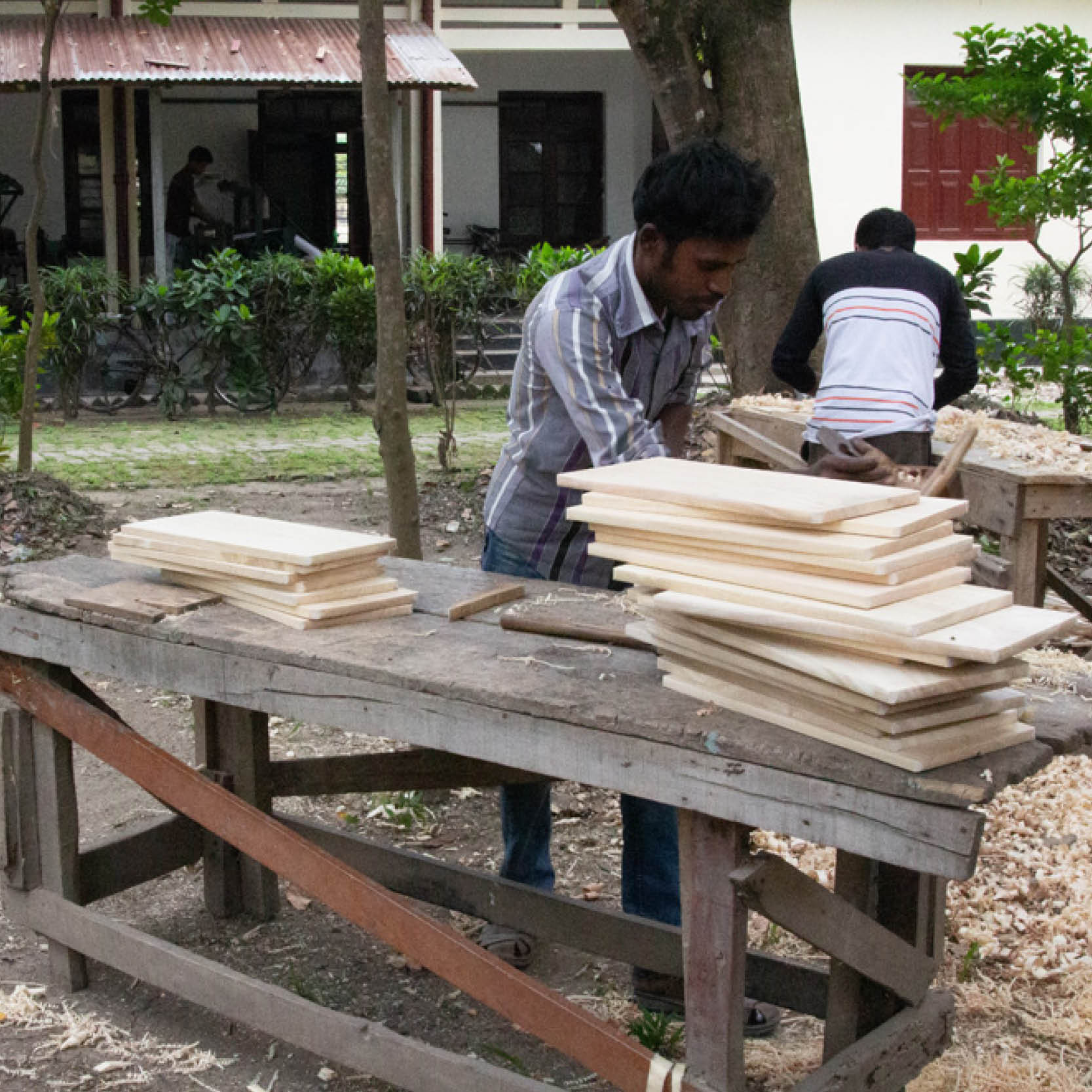 Trefjøl S - Bilde 5