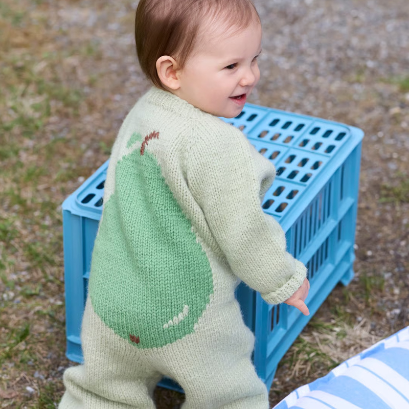 Hefte 475 Fruktig intarsia - Bilde 6