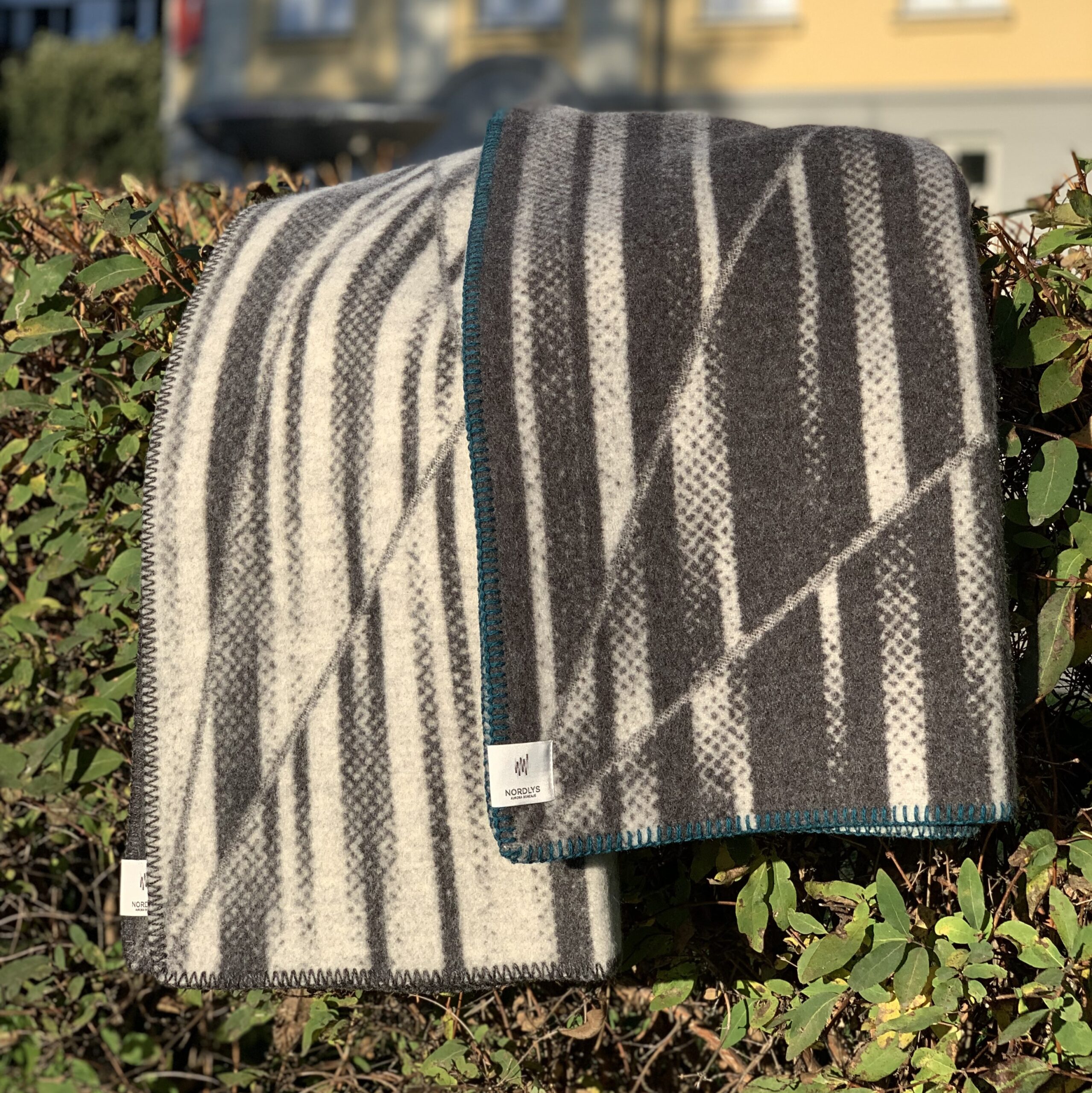 Nordlys halvpledd - Bilde 2