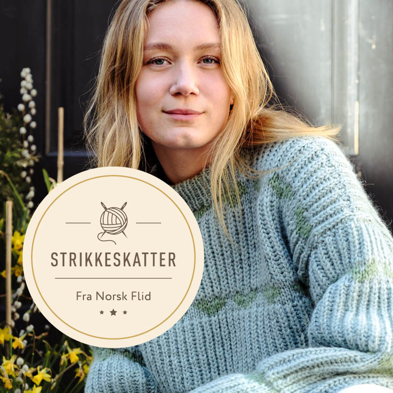 Strikkeskatt nr. 881 - Bilde 1