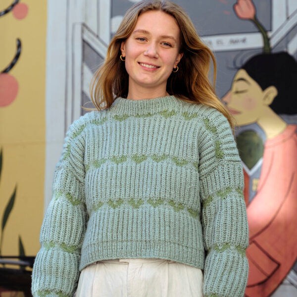 Strikkeskatt nr. 881