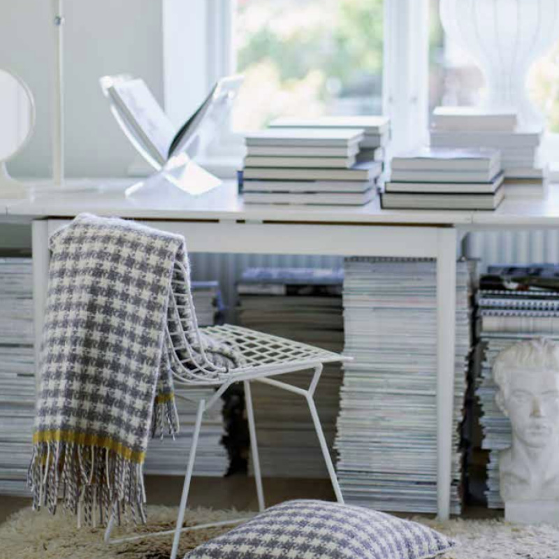 Dogtooth pledd - Bilde 1