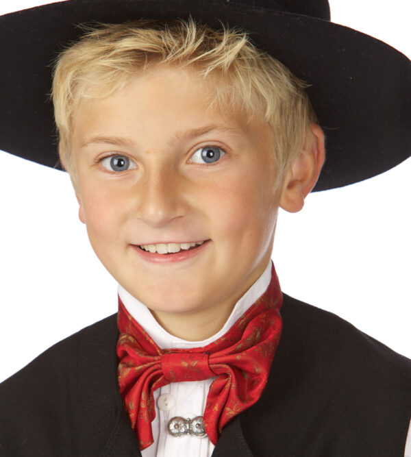 <h1>Silkeskjerf</h1>