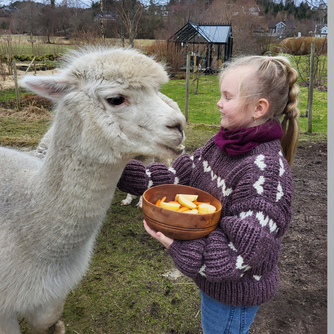 Strikkeskatt nr. 881 - Bilde 3