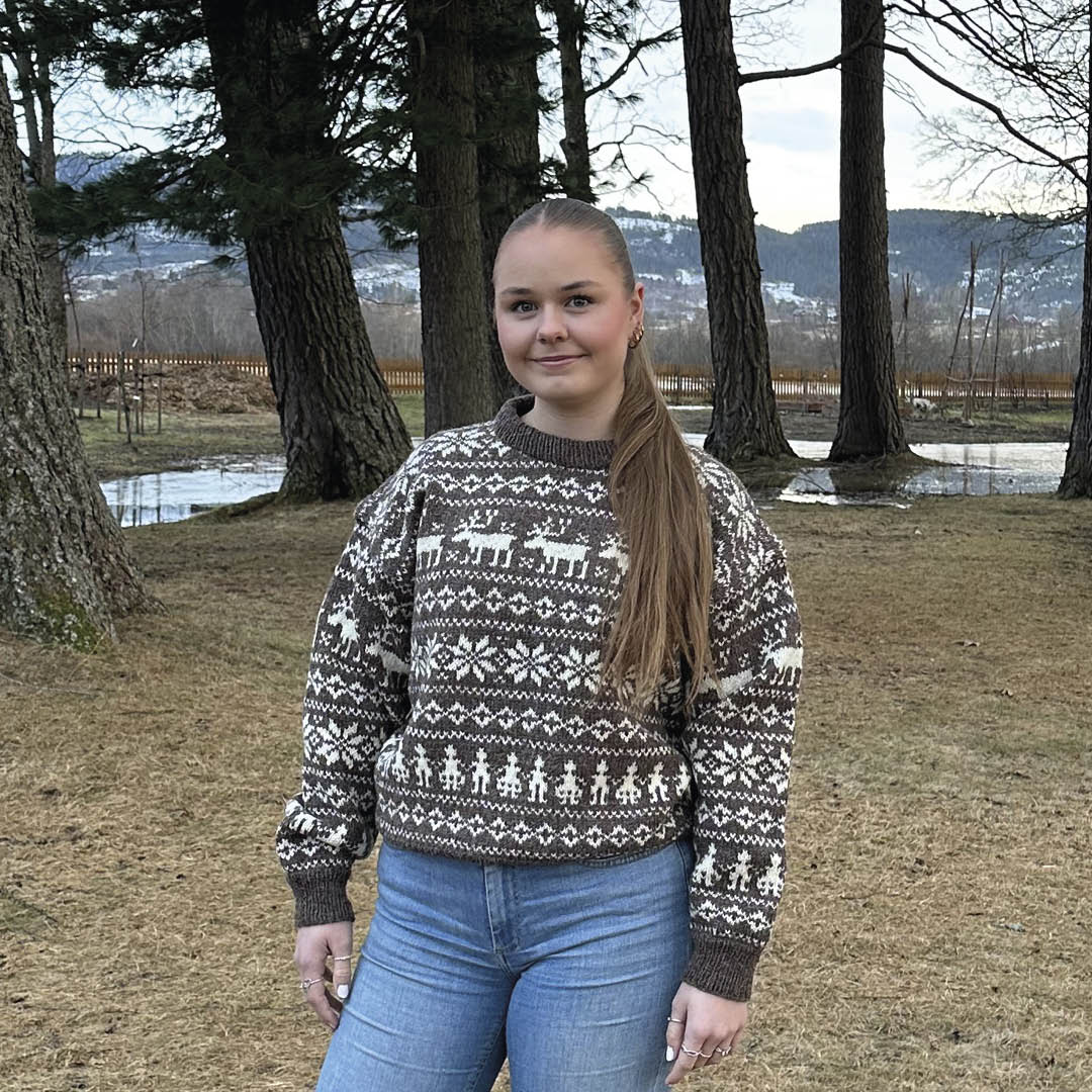 Strikkeskatt nr. 28 - Bilde 5