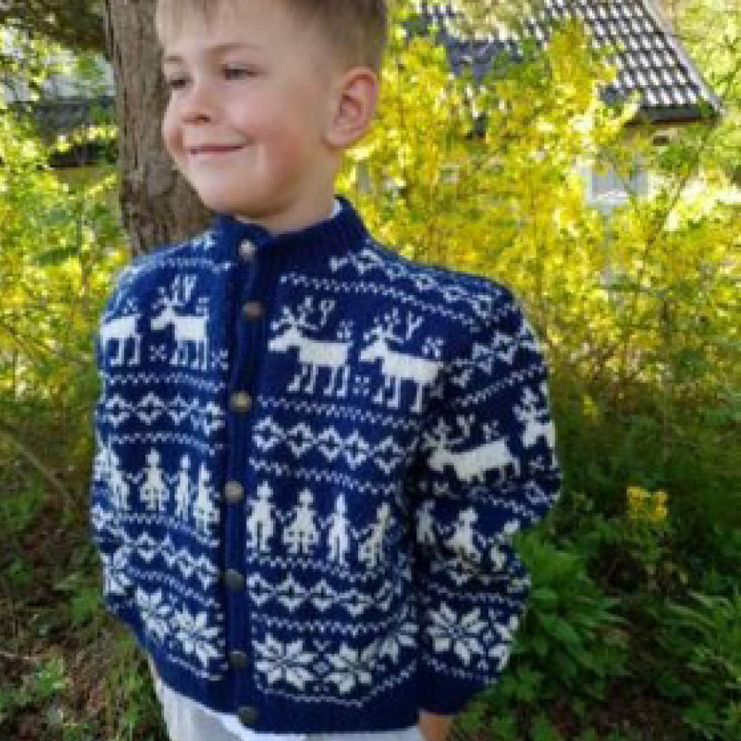 Strikkeskatt nr. VH28 Selbujakke - Bilde 2