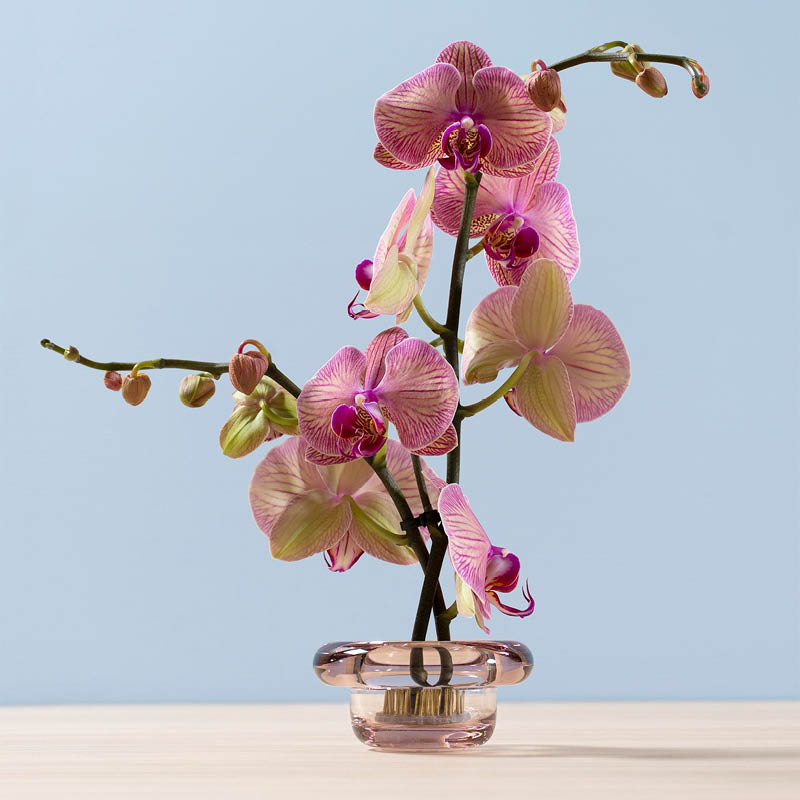 SIRKEL telysholder rosa - Bilde 1