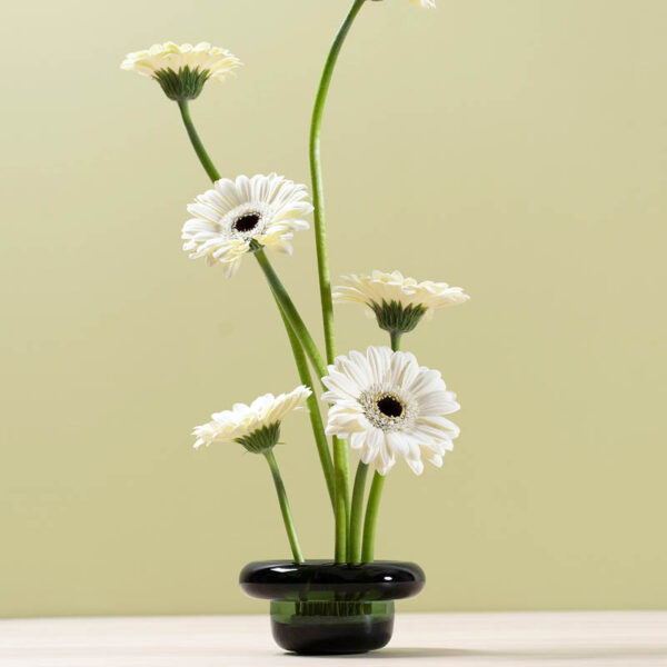 SIRKEL telysholder grønn