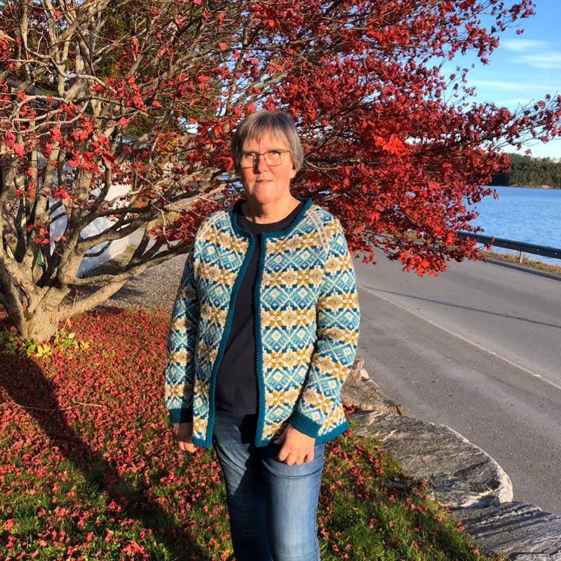 Strikkeskatt nr. 1051 - Bilde 2