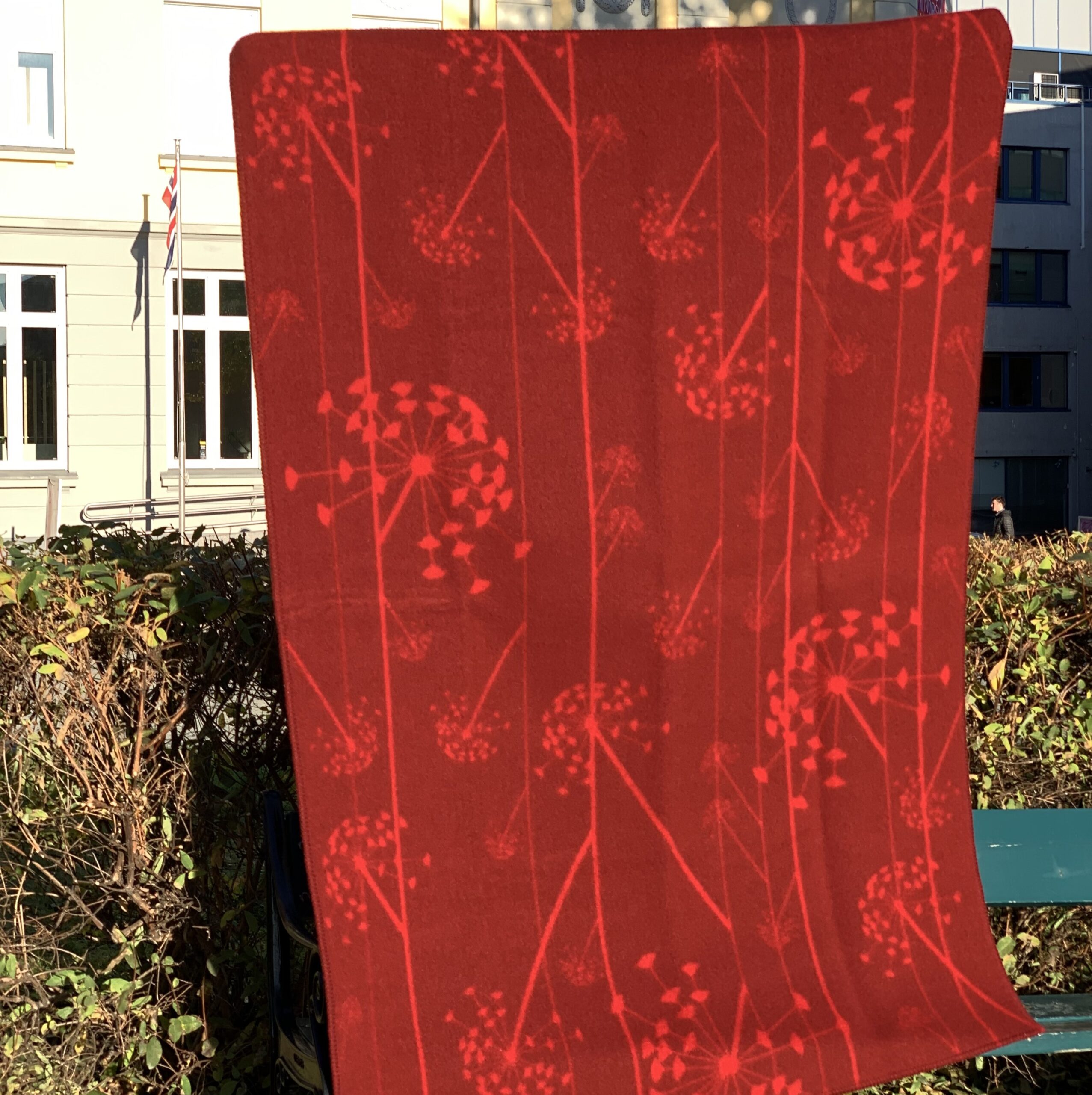 Tromsøpalme pledd stor - Bilde 1