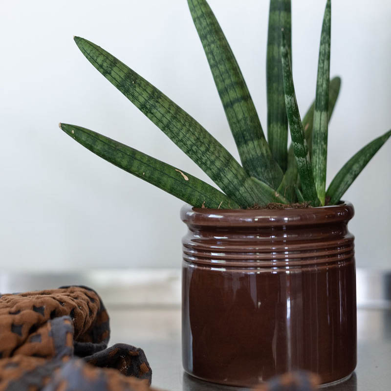 Krukke H: 14 cm, div farger - Bilde 8