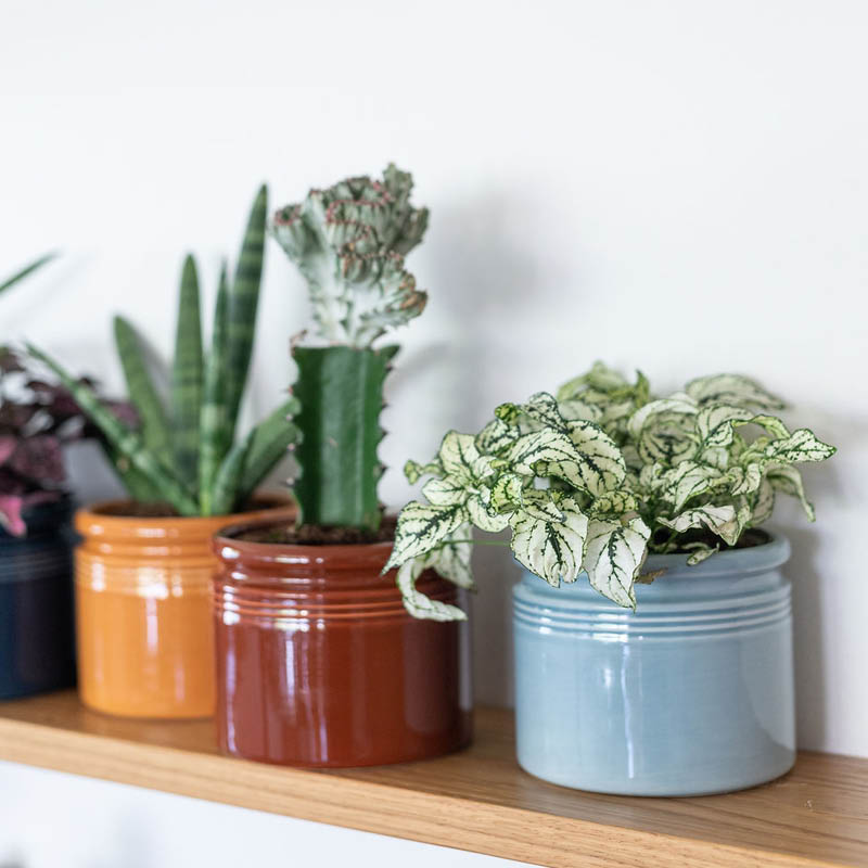 Krukke H: 14 cm, div farger - Bilde 1