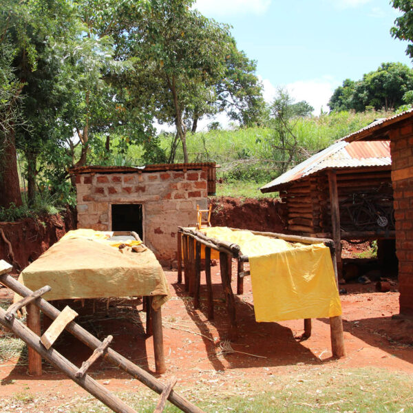 Julekaffe hele bønner