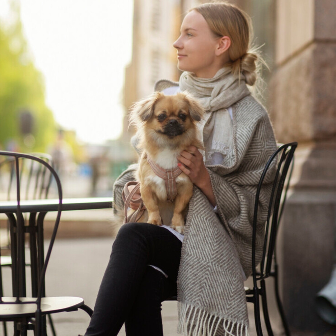 Maria Lommesjal - Bilde 1